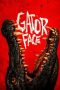 gator-face-2026