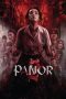 panor-2-2026