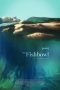 the-fishbowl-2023