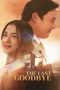 the-last-goodbye-2025