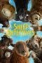 the-sheep-detectives-2026